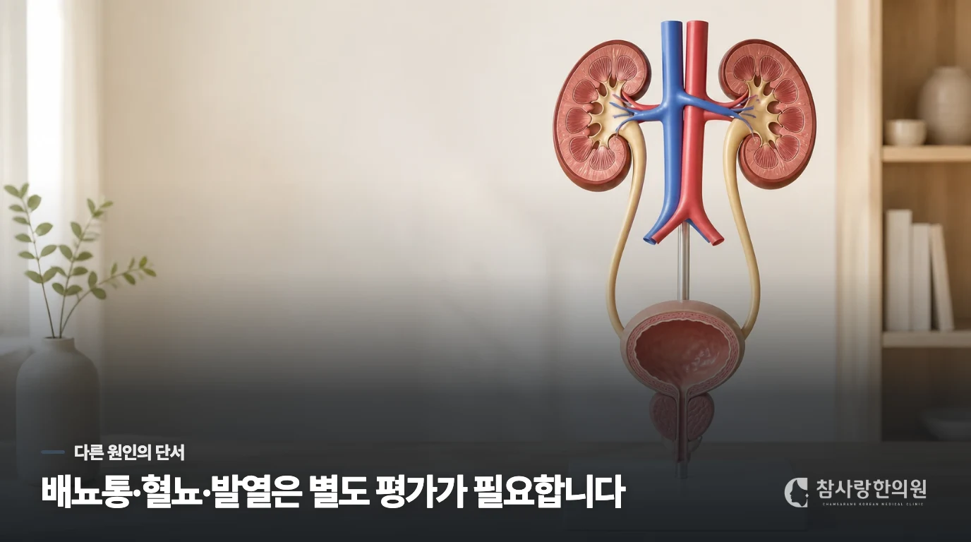 배뇨통이나 혈뇨가 붙으면 다른 원인을 살펴야 합니다