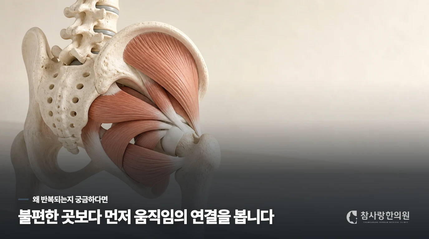 골반이 틀어지면 왜 통증의 양상이 달라지나요?