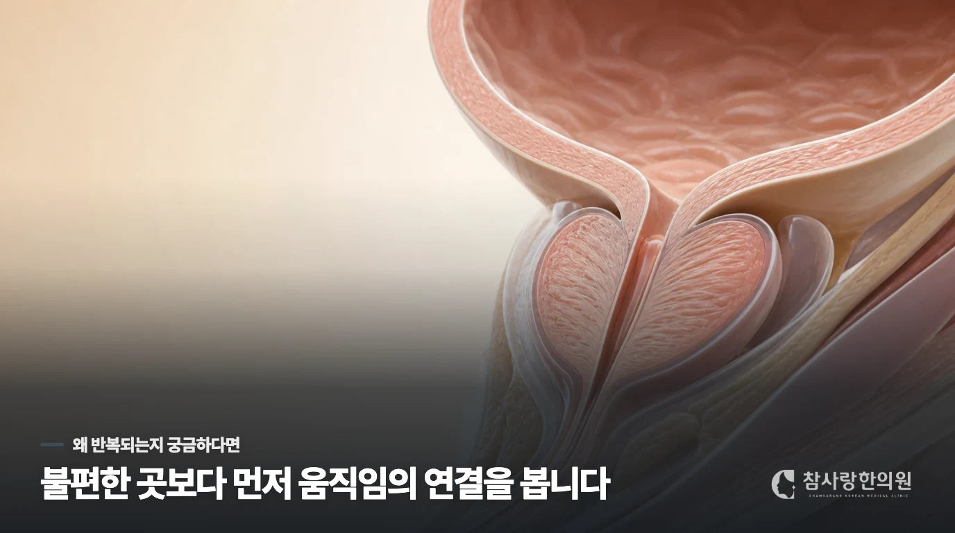 의자에서 일어날 때 회음부가 더 뻐근한 이유