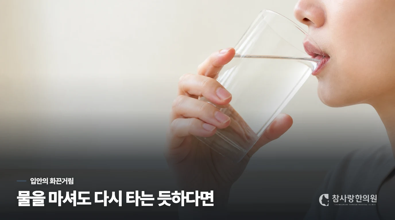 물을 마셔도 혀가 다시 화끈거리는 오후