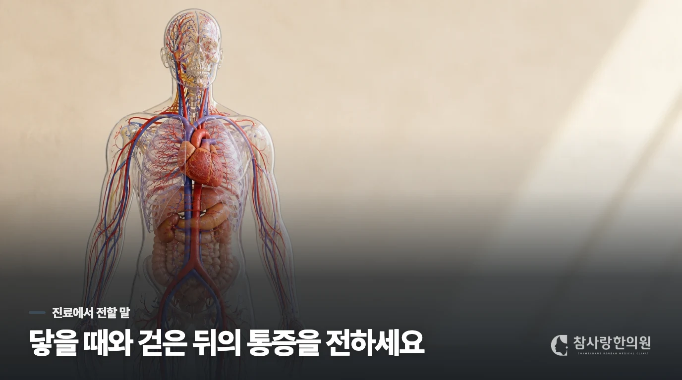 밤의 통증을 설명할 때 도움이 되는 순서