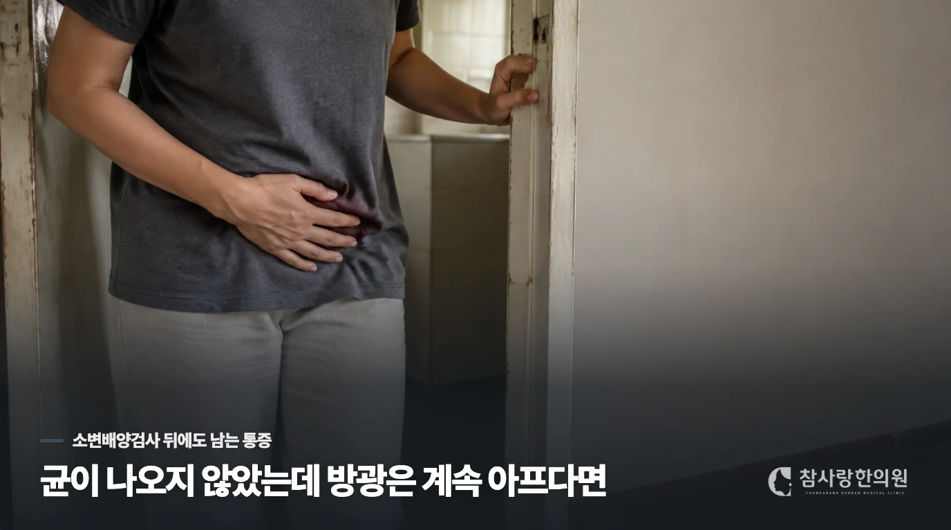 균이 나오지 않았는데 방광은 계속 아프다면
