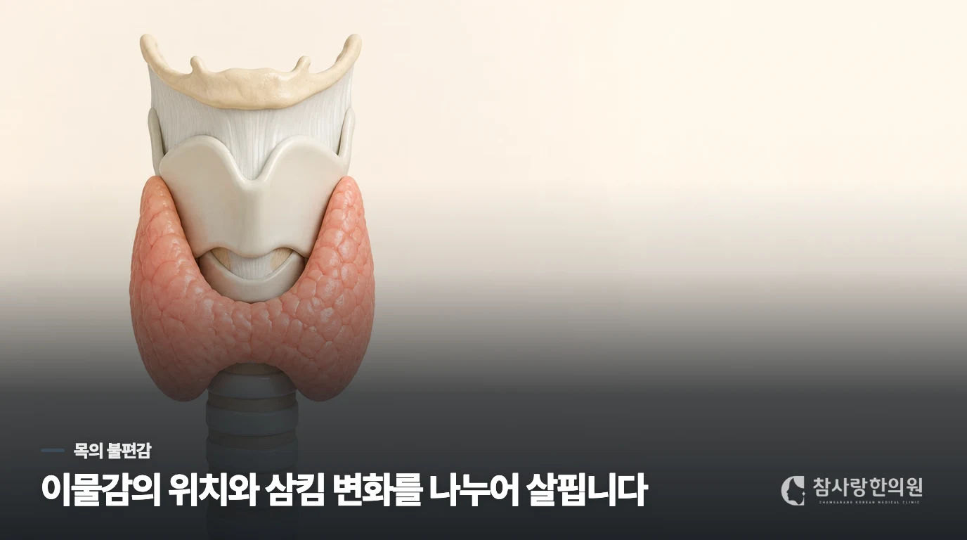 목 앞이 답답하다고 모두 갑상선 문제는 아닙니다